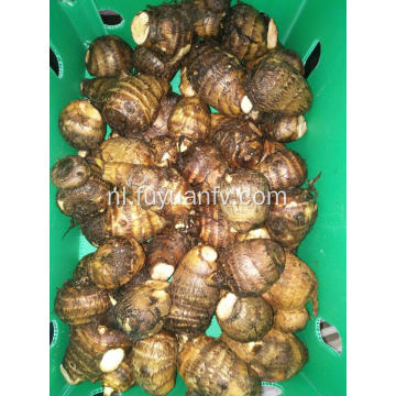 Verse grote taro in plastic doos van 9 kg